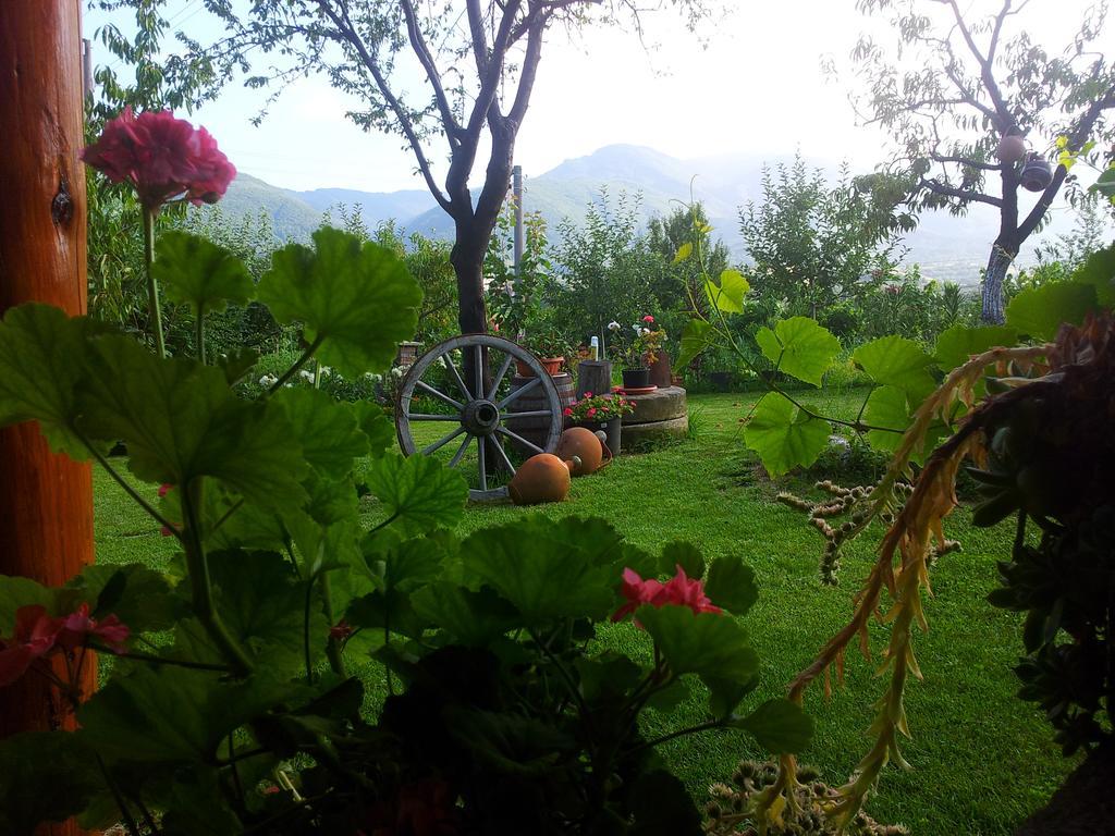 Къща за гости Каза Роза - Swiss Style Chalet Casa Rosa Guest House Кюстендил Номер фото